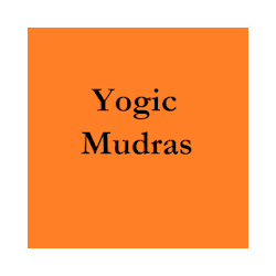 Yogic Mudras