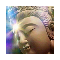 Vegetable Days Reminder