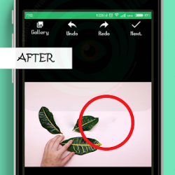 Remove Unwanted Object 1475344 v1.0