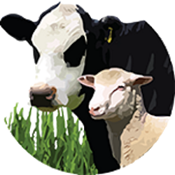 Drought Feed Calculator