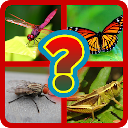 Teka Nama Serangga