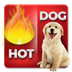 2 Pics 1 Word Offline Brain Game