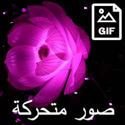 صور متحركة Gif
