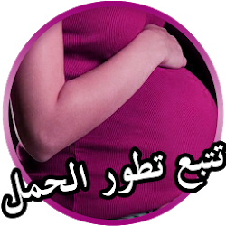 تتبع تطور الجنين-أسابيع الحمل