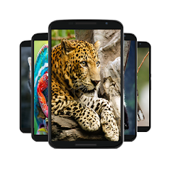 خلفية الحيوان