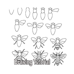 تنزيل رسم دروس Free لـ Android