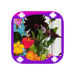 Flower Shops Bend Oregon