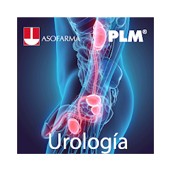 PLM Urología