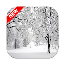 Snow Wallpaper HD ❄