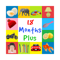 First Words 18 Months Plus Baby Flashcards