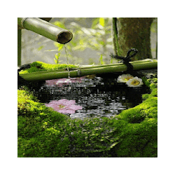 Bamboo Flower Water LWP