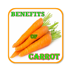 Benefits of Carrot prepare food  juice
