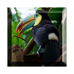 Imagenes de Animales