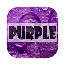 Purple Wallpapers HD