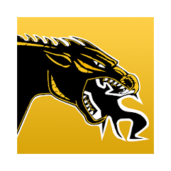 Cameron R-1 School District MO