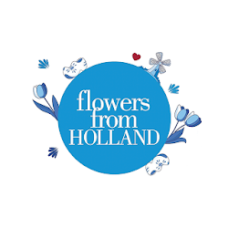 Flowers from Holland