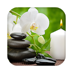 Zen Garden Live Wallpaper Backgrounds