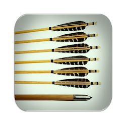 أصوات السهم