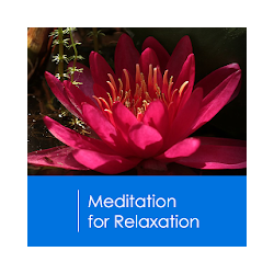 Meditation for Relaxation