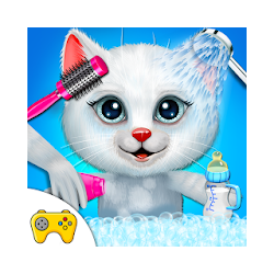Kitty Pet Daycare - Pet Kitty salon For Caring
