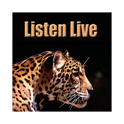 Leopards Radio