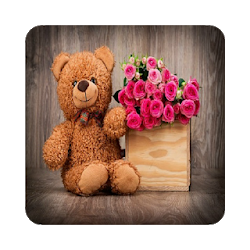 Rosas y Ositos Románticos