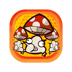 My Mushroom