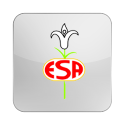 Externato Santo Antonio Mobile