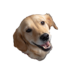 WAStickerApps – Animal Stickers