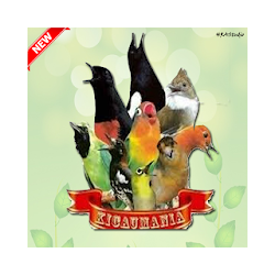 Masteran Banyak Kicau Burung