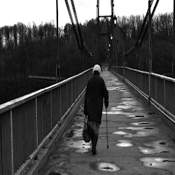 كلمات عابرة