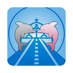 Boto Car - Motorista