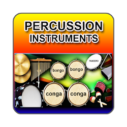 Percussion Instrument