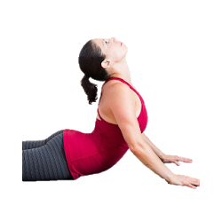 اليوغا لعبدومينالس والأرداف