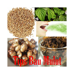 تنزيل نصائح للتغلب على رائحة الفم Free لـ Android