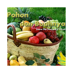 Mengenal Pohon dan Buahnya min 50+