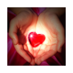 تطبيق Ayat Nasihat Cinta