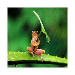 صور مضحكة 13