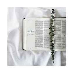 تطبيق Grace Devotional