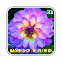 تطبيق Imágenes de Flores