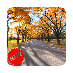 تطبيق Autumn Wallpaper