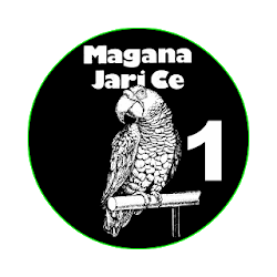 Magana Jari Ce 1 Littafi Na Farko