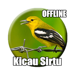 Kicau Burung Sirtu Gacor