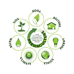Permaculture Solutions