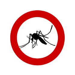 Como eliminar mosquitos