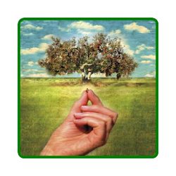 Firman Alkitab Bible