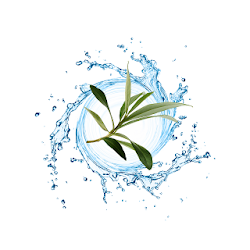 تطبيق Olivo Life