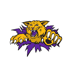 Slater School District MO