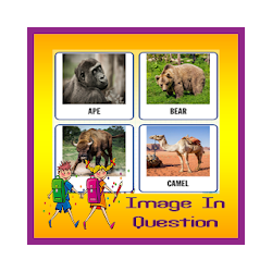 تطبيق Image In Question