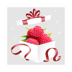 bBerryBox Online Shopping Store